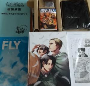 Attack On Titan Art Book FLY