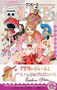 ONE PIECE novel HEROINES (JUMP j BOOKS)