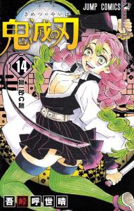 Demon Slayer: Kimetsu no Yaiba 14 (Jump Comics)