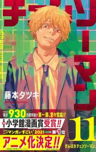 Chainsaw Man 11 (Jump Comics)