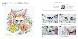 Mazdaken coloring book collection