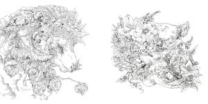 Mazdaken coloring book collection