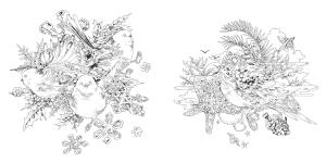 Mazdaken coloring book collection
