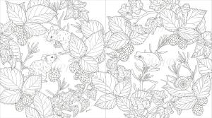 garden COLORING BOOK Birds, Flowers, and Animals Coloring Book (Genkosha Mook)