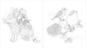 garden COLORING BOOK Birds, Flowers, and Animals Coloring Book (Genkosha Mook)