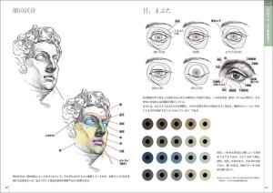 Learn art anatomy through sketching