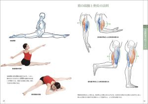 Learn art anatomy through sketching