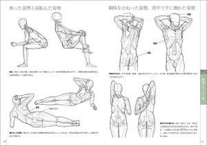 Learn art anatomy through sketching