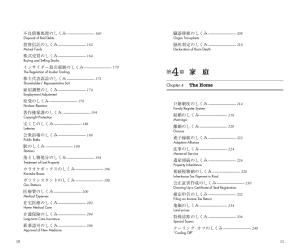 Fully Illustrated Japanese System [Revised And Enlarged Edition] (Japanese Bilingual Edition)