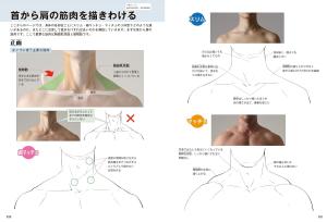 Man's Muscle Drawing Pose Collection - From Slim To Macho