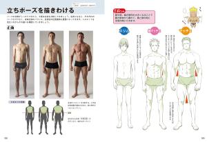 Man's Muscle Drawing Pose Collection - From Slim To Macho