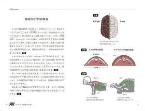 A turtle's shell is a rib ~Illustrated book of animals represented in the human body~ (SB Visual Shinsho)