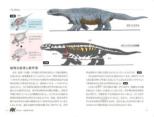A turtle's shell is a rib ~Illustrated book of animals represented in the human body~ (SB Visual Shinsho)