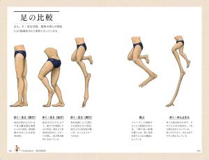 A turtle's shell is a rib ~Illustrated book of animals represented in the human body~ (SB Visual Shinsho)