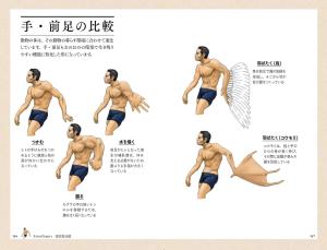 A turtle's shell is a rib ~Illustrated book of animals represented in the human body~ (SB Visual Shinsho)