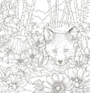 Symphony of Cute Animals (Coloring Book)