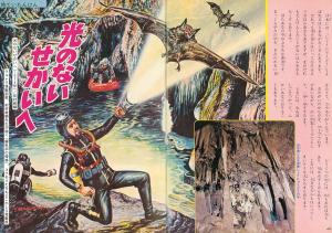 Showa Chibikko Mystery Pictorial