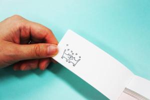 Flipbook Cat Proposal