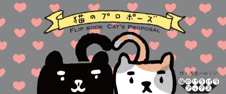 Flipbook Cat Proposal