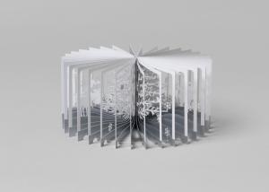 360 Degree BOOK Snowy World