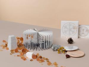 360 Degree BOOK Snowy World