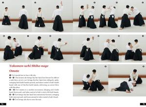 An Introduction to Aikido Mastering the Basics Through Proper Training ((English translation of Aikido book))