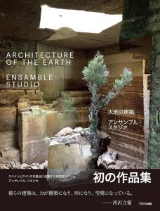 Architecture of the Earth Ensemble Studio