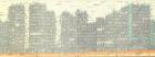 Large illustrated Kowloon City