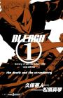 BLEACH letters from the other side -new edition- (JUMP j BOOKS)