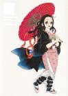Demon Slayer: Kimetsu no Yaiba Gotoge Koyoharu Art Collection ? Ikusei Shimo ? (Treasured Edition Comics)
