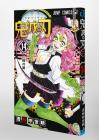 Demon Slayer: Kimetsu no Yaiba 14 (Jump Comics)