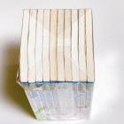 (All 10 Volumes Set)Doraemon English Comics (Shogakukan English Comics)