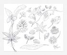 Field Mouse Yururi's Travel Sketch Tokimeku Coloring Book Series (TOKIMEKU Coloring Book Series)