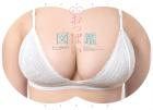Full Size Breast Encyclopedia