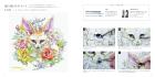 Mazdaken coloring book collection