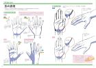 Takahiro Kagami teaches you how to draw hands with all his might.A style of drawing that will move your heart.