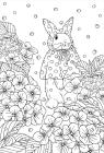 Heart-pounding Waltz of the Four Seasons - Coloring book with beautiful scenery and adorable animals